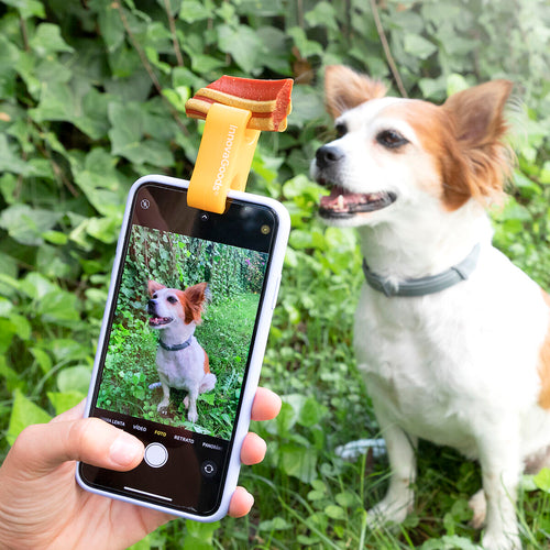 Pefie InnovaGoods kisállat-szelficsipesz – nézz ide, jutalomfalat!