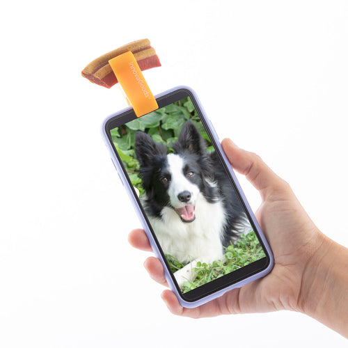 Pefie InnovaGoods kisállat-szelficsipesz – nézz ide, jutalomfalat!
